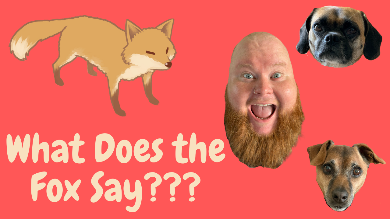 What Does the Fox Say 1