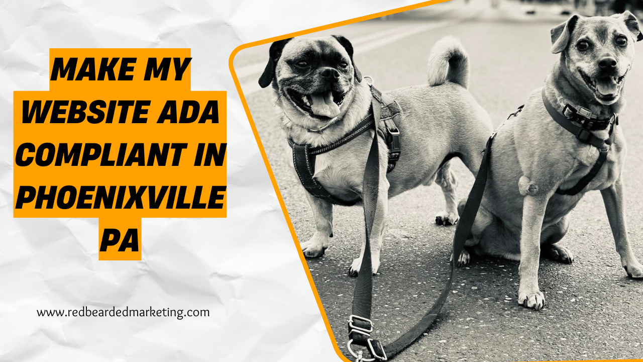 Make My Website ADA Compliant in Phoenixville PA